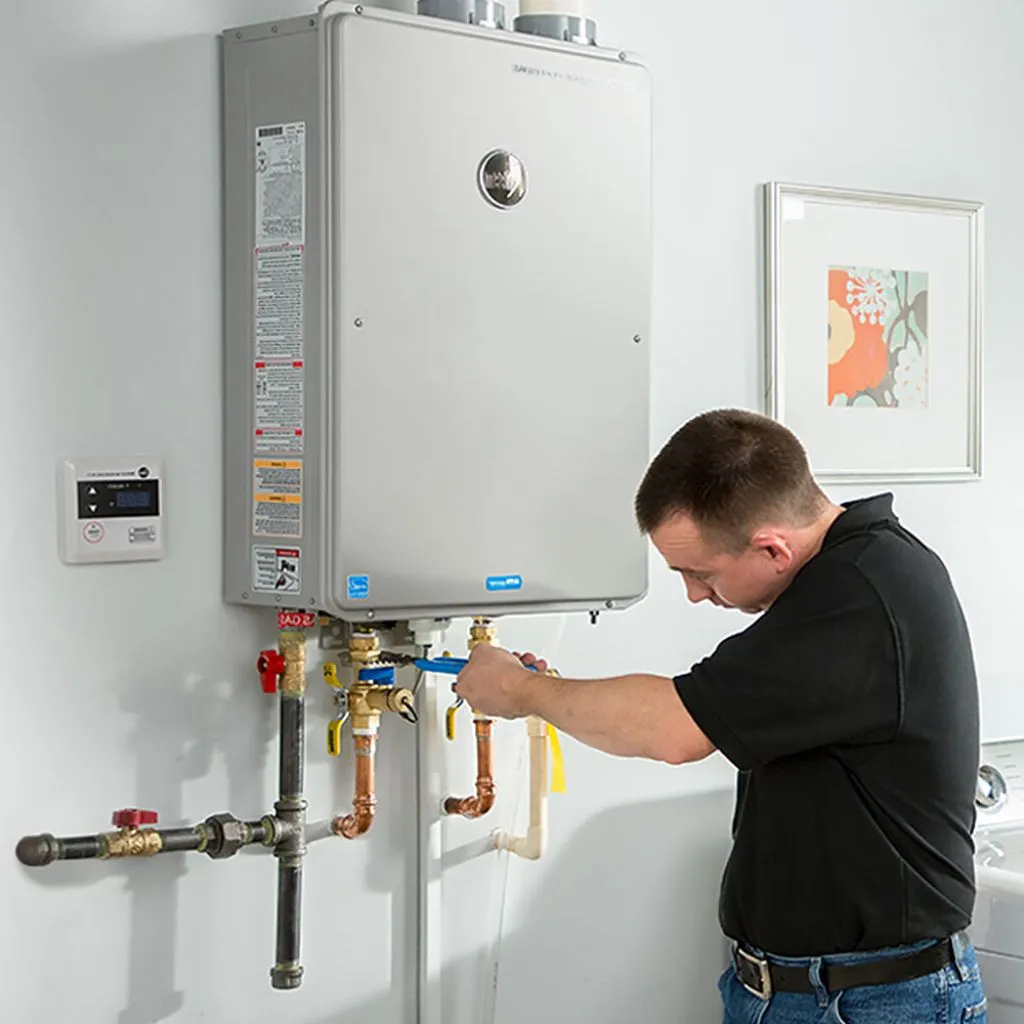 tankless water heater repair in Ridott, IL